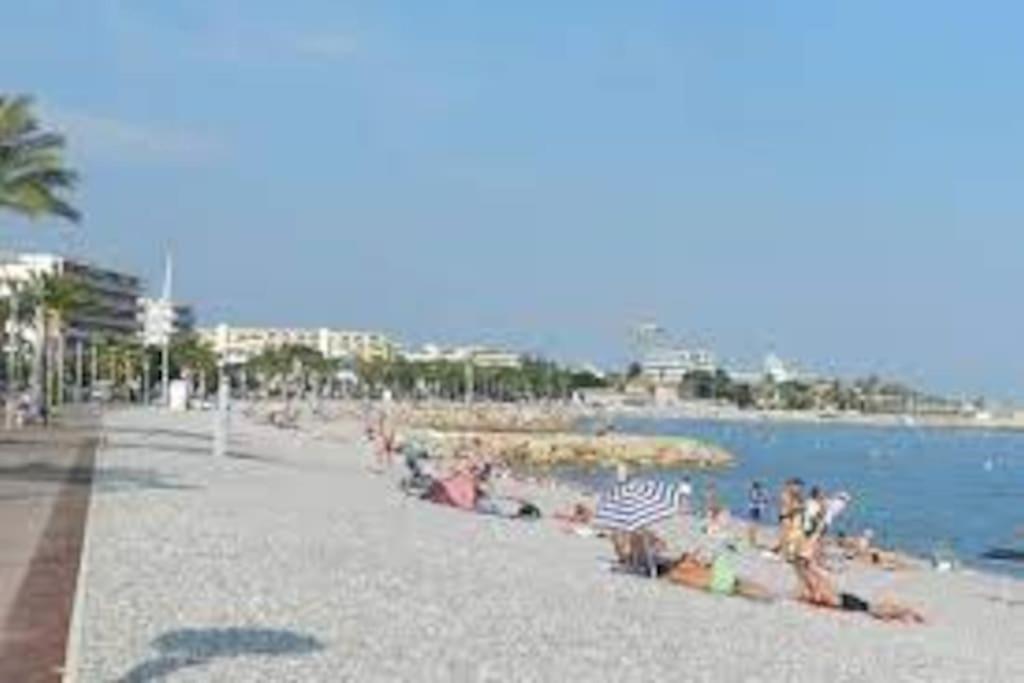 La Petite Luciole Entre Mer Et Montagne. Apartment Cagnes-sur-Mer Exterior photo